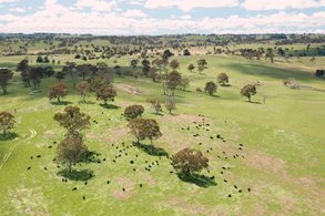When a TV Chef Goes to a Farm Down Under
