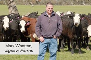 Meet the Maker Videos